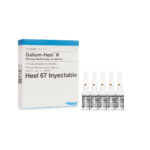 GALIUM HEEL AMPOLLA x 1 ML (Caja x 5 Ampollas) HEEL