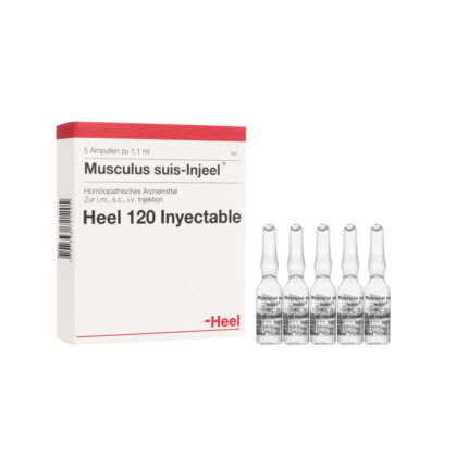 MUSCULUS SUIS INJ FRT AMPOLLA x 1 ML (Caja x 5 Ampollas) HEEL