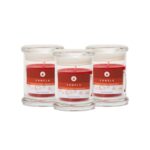 VELA EN VASO (CANELA) x 67 gr ILUMINATA X3