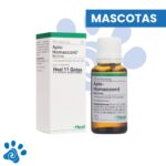 APIS HOMACCORD VET GOTAS (Frasco x 30 ml) HEEL VETERINARIO