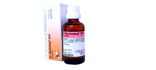 SALUD Y MEDICAMENTOS R27 RENOCALCIN X 50 ML (Dr. Reckeweg) FUNCIONAMIENTO RENAL