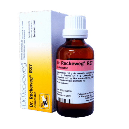 R37 COLINTESTON X 50 ML (Dr. Reckeweg)