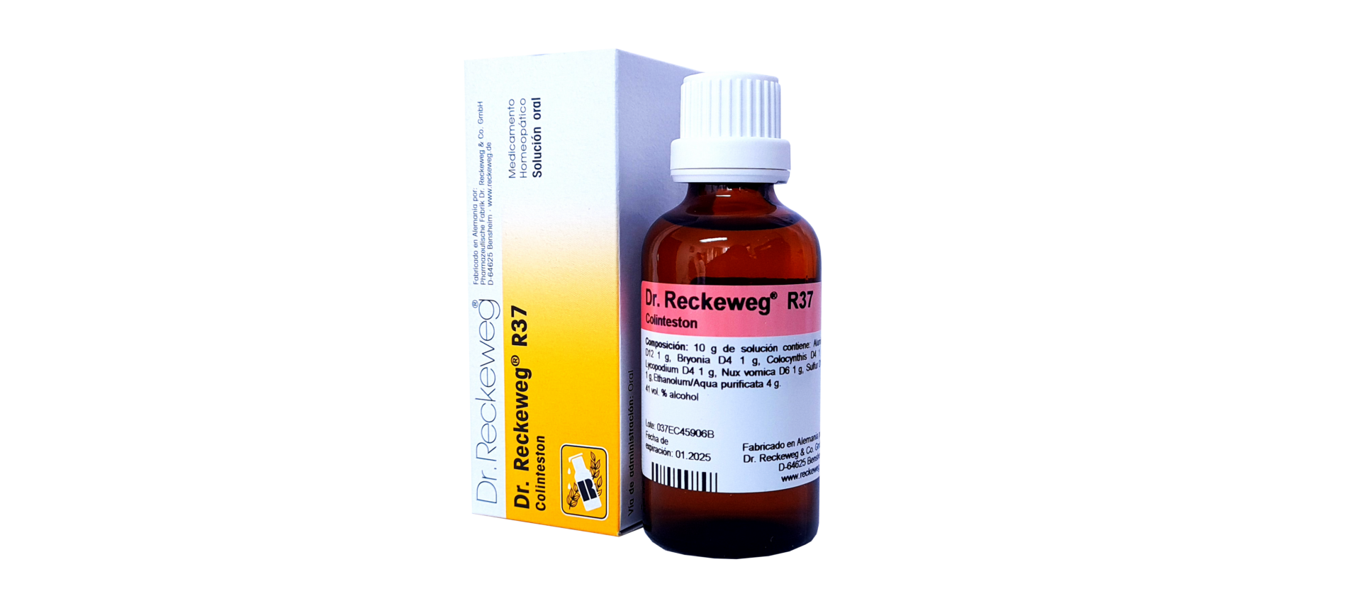 SALUD Y MEDICAMENTOS R25 PROSTATAN X 50 ML (Dr. Reckeweg) FUNCIONAMIENTO RENAL
