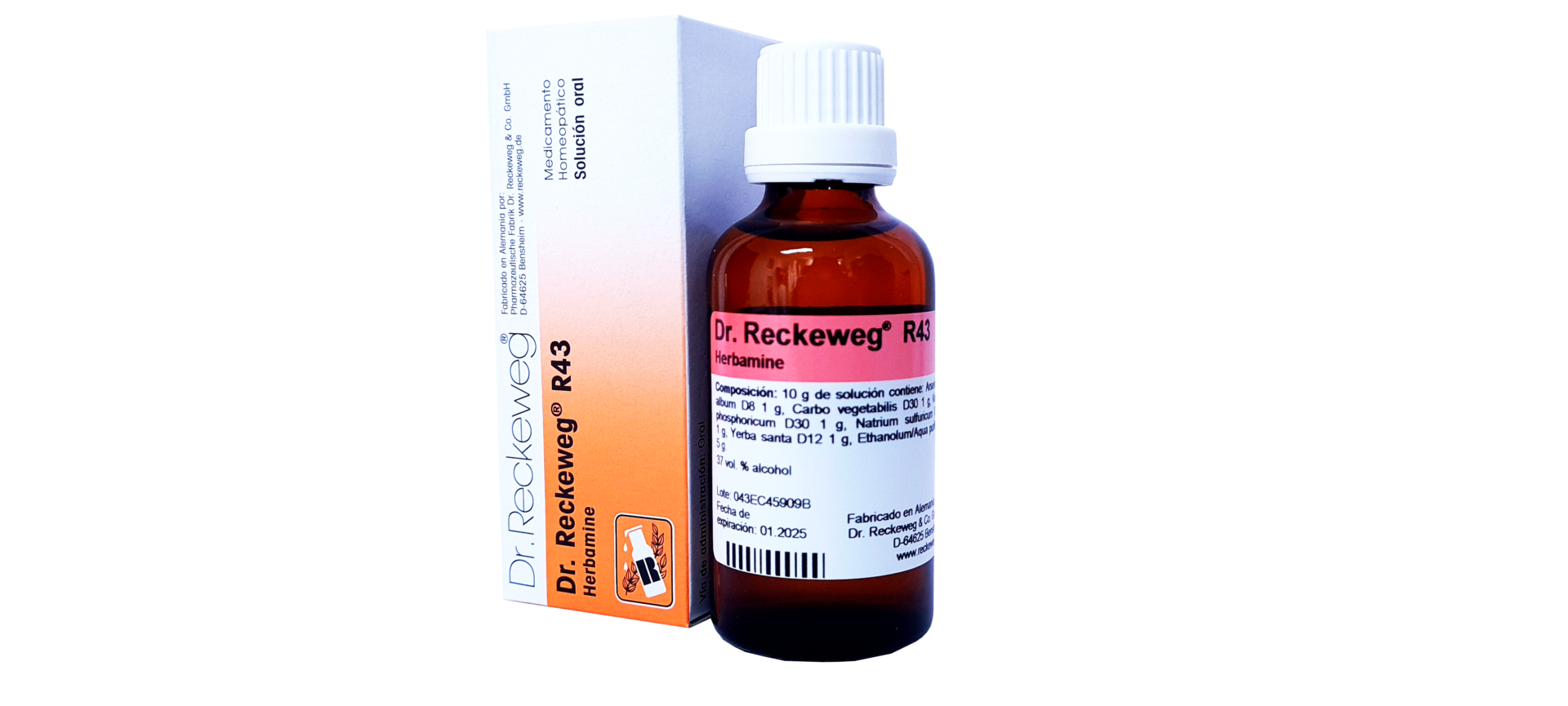 SALUD Y MEDICAMENTOS R40 DIAGLUKON X 50 ML (Dr. Reckeweg) DIABETES