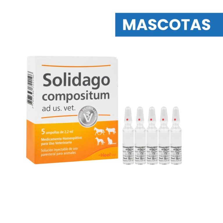 SOLIDAGO COMPOSITUM AD US VET (Unidad) HEEL VETERINARIO, MASCOTAS - Imagen 1