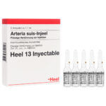 ARTERIA SUIS INJEEL AMPOLLAS X 1 ML, HEEL
