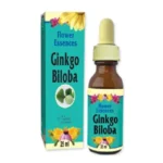 Esencia Ginkgo Biloba – Mejorar su Agilidad Mental – Natural Freshly – Frasco x 25 ml