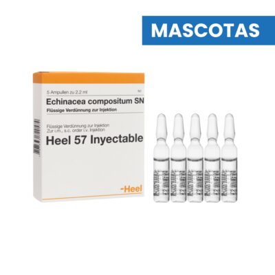 MASCOTAS ECHINACEA COMPOSITUM AMPOLLA x 2 ML (Caja x 5 Ampollas) HEEL VETERINARIO HEEL VET