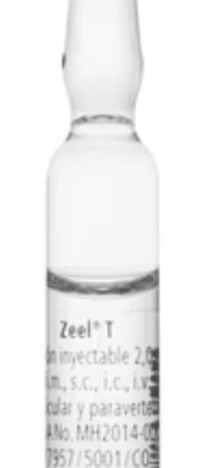 ZEEL AD US VET - Ampolla x 5ml - HEEL VETERINARIO, MASCOTAS