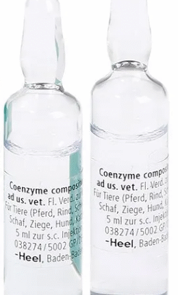 COENZYME COMPOSITUM AD US VET, AMPOLLA x 5 ML HEEL (Unidad) HEEL VETERINARIO