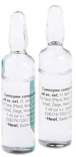 MASCOTAS COENZYME COMPOSITUM AD US VET, AMPOLLA x 5 ML HEEL (Unidad) HEEL VETERINARIO HEEL VET