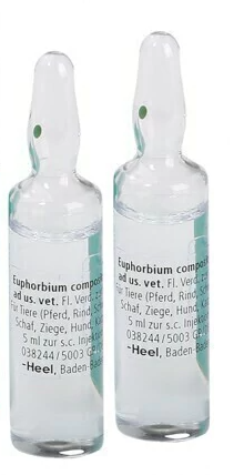 MASCOTAS EUPHORBIUM COMPOSITUM AD US VET, AMPOLLA x 5 ML (Unidad) HEEL VETERINARIO HEEL VET
