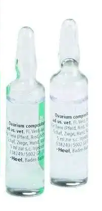 MASCOTAS OVARIUM COMPOSITUM AD US VET, AMPOLLA x 5 ML (Unidad) HEEL VETERINARIO HEEL VET