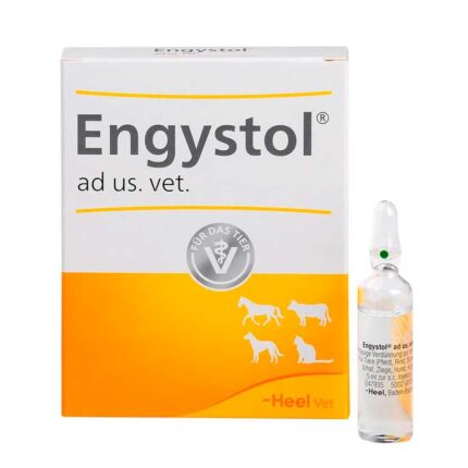 ENGYSTOL AD US VET, AMPOLLA x 5 ML (Unidad) HEEL VETERINARIO