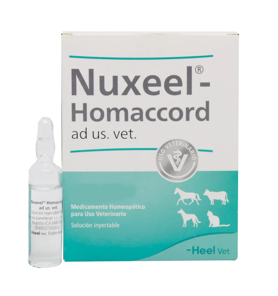 MASCOTAS NUXEEL HOMACCORD AD US VET, AMPOLLA x 5 ML (Unidad) HEEL VETERINARIO HEEL VET