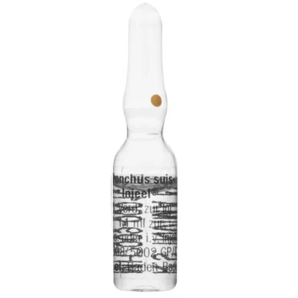 SALUD Y MEDICAMENTOS BRONCHUS SUIS INJEEL AMPOLLA X 1 ML HEEL (Unidad) HEEL