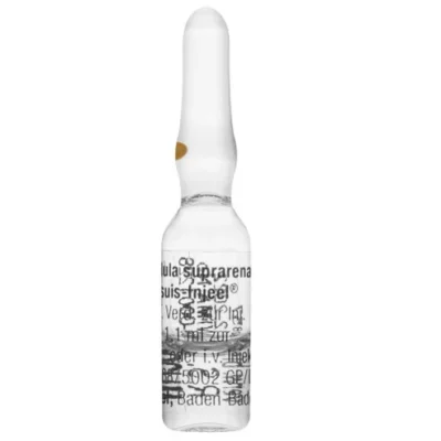 SALUD Y MEDICAMENTOS GLAND SUPRARRENALIS SUIS AMPOLLA X 1 ML HEEL (Unidad) HEEL