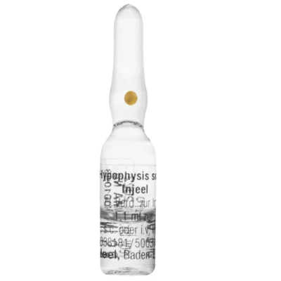 SALUD Y MEDICAMENTOS HYPOPHYSIS SUIS AMPOLLA X 1 ML HEEL (Unidad) HEEL