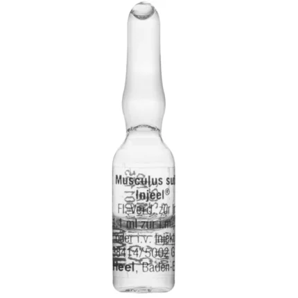 MUSCULUS SUIS INJ FRT AMPOLLA X 1 ML HEEL (Unidad)