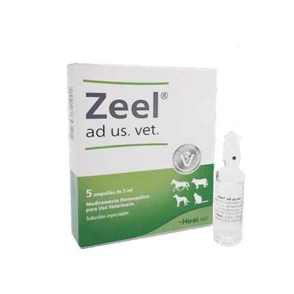 ZEEL AD US VET, AMPOLLA x 5 ML (Unidad) HEEL VETERINARIO