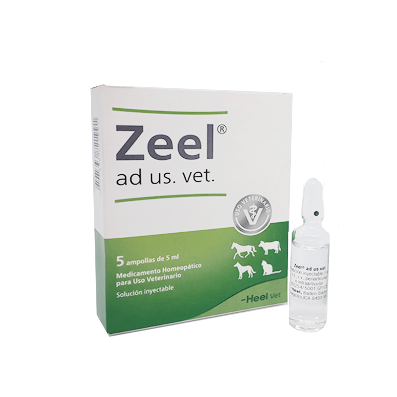 MASCOTAS ZEEL AD US VET, AMPOLLA x 5 ML (Unidad) HEEL VETERINARIO HEEL VET