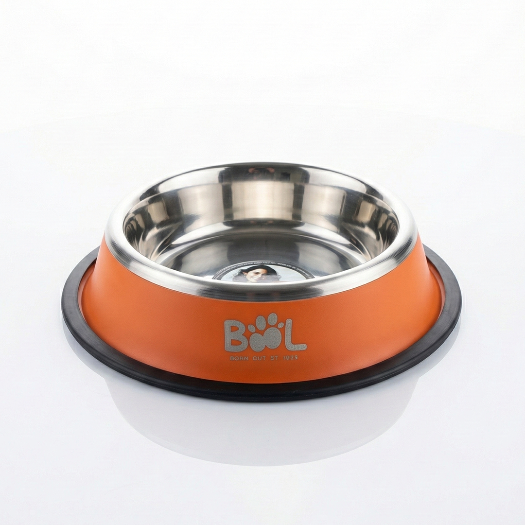 MASCOTAS CUENCOS ANTIDESLIZANT ACE INO MATE 17CM x 24 Oz – COMEDERO MASCOTAS – BOOL BOOL CUENCOS ANTIDESLIZANT ACE INO MATE 17CM x 24 Oz – COMEDERO MASCOTAS – BOOL - Imagen 1