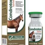 CONDROTON Inyectable - Regenerador Articular para Caballos - 10 ml - VETNIL - Veterinario Caballos